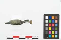 Foto von Bronzecertosafibel (NHMW-PRAE-078063)